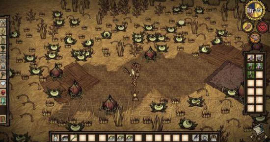 �����ǿ�