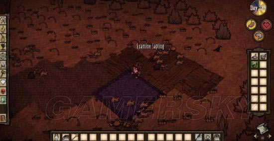 �����ǿ�