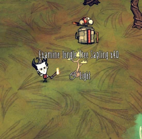 �����ǿ�