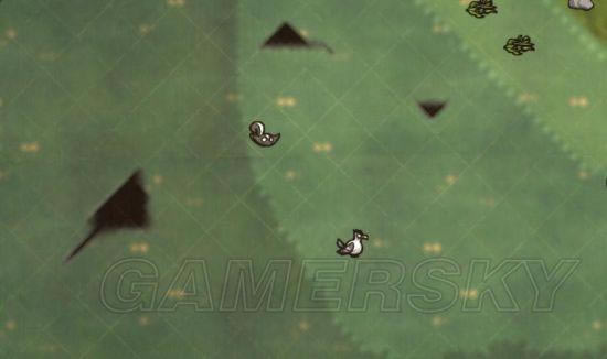 �����ǿ�