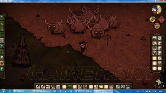 �����ǿ�