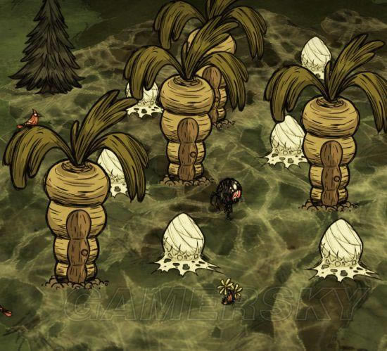 �����ǿ�