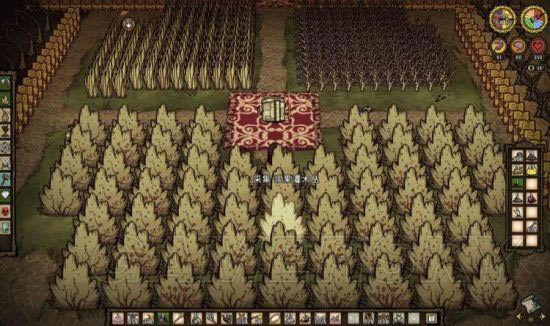 �����ǿ�