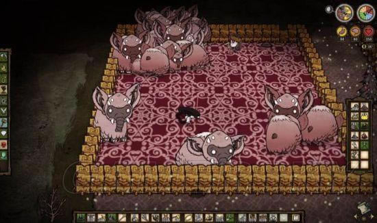 �����ǿ�