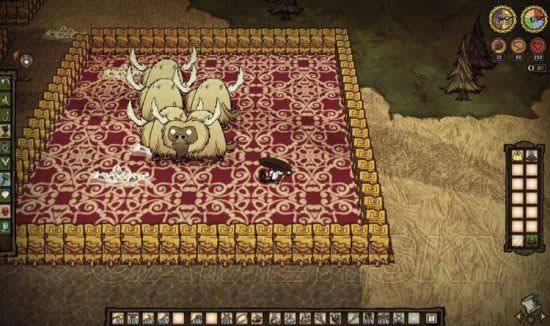 �����ǿ�