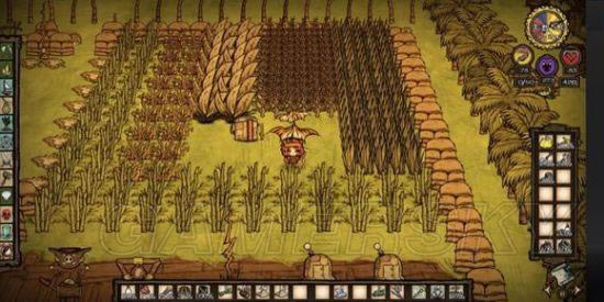 �����ǿ�