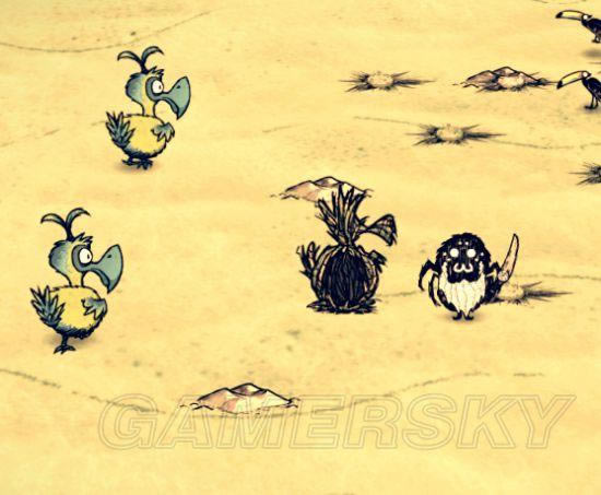 �����ǿ�