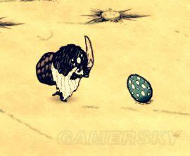 �����ǿ�