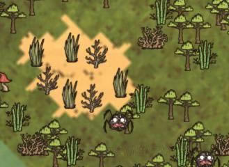 �����ǿ�