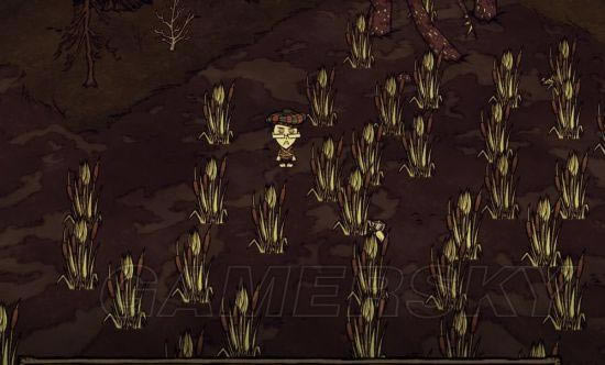 �����ǿ�