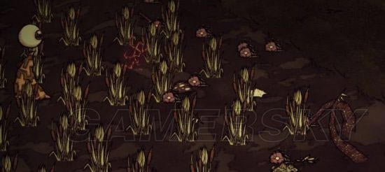 �����ǿ�