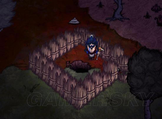 �����ǿ�