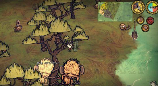 �����ǿ�