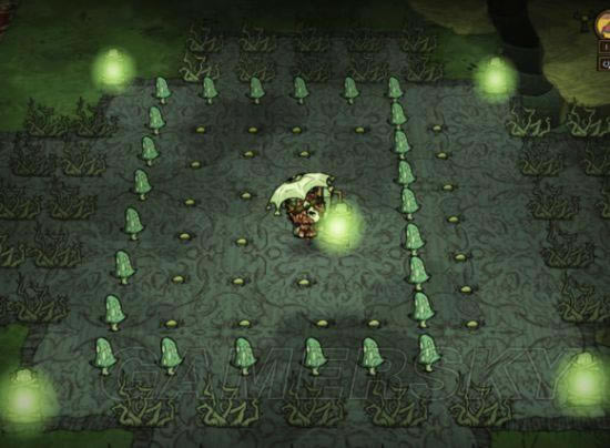 �����ǿ�