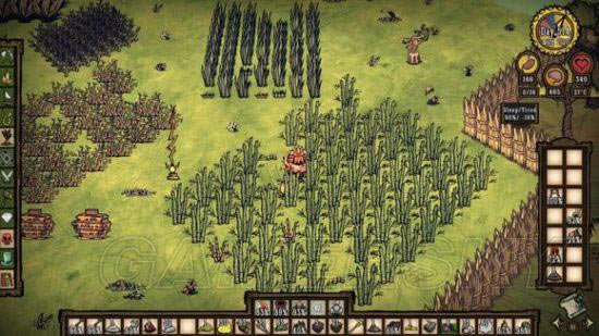 �����ǿ�