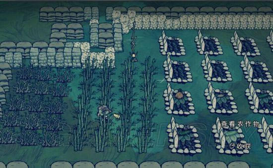 �����ǿ�