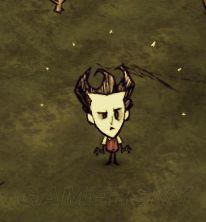 �����ǿ�