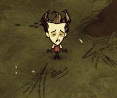 �����ǿ�