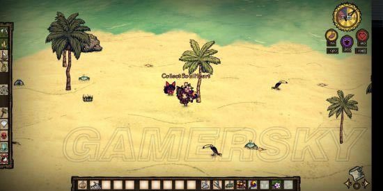 �����ǿ�