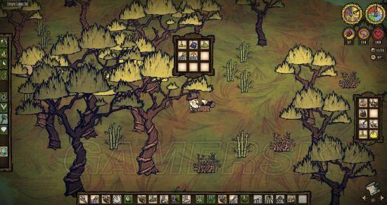 �����ǿ�