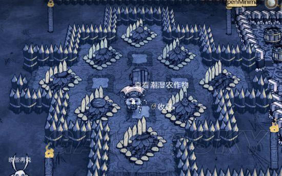 �����ǿ�