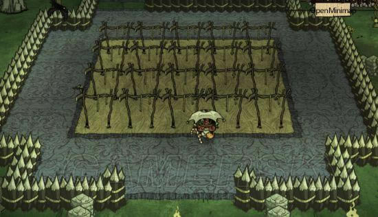 �����ǿ�