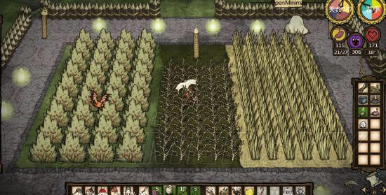 �����ǿ�