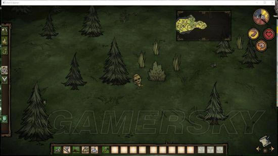 �����ǿ�