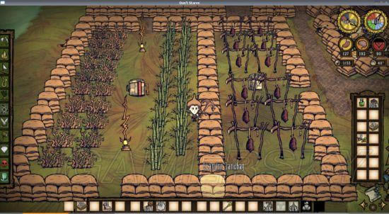 �����ǿ�