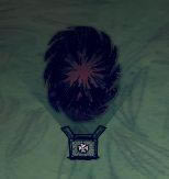 �����ǿ�