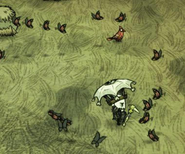 �����ǿ�