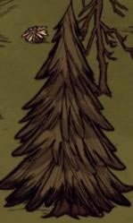 �����ǿ�