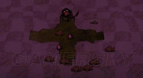 �����ǿ�