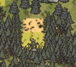 �����ǿ�