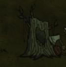 �����ǿ�