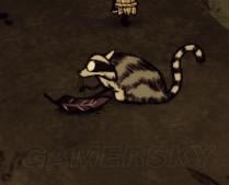 �����ǿ�