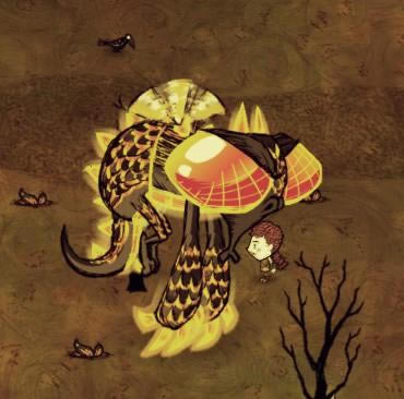 �����ǿ�