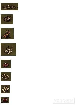 ����sanֵ��ϸ����