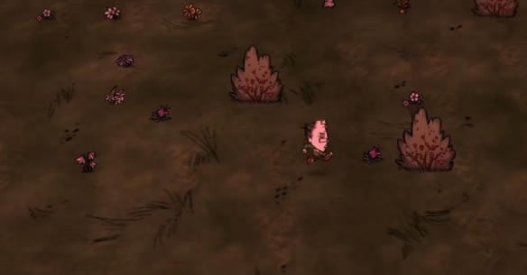 �����¼�԰����ֵ������������ ����ֵ��ô��_��վ