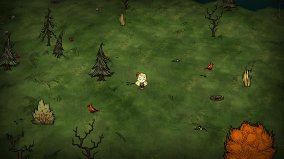 ����������������� ���Ч������������