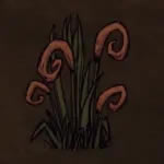 �������������ȡ�÷��� ��鵿�������Ʒ����