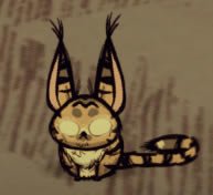 ����������С�èˢ��λ���ܽ� �è������