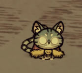 ����������С�èˢ��λ�û��� �è������_��վ