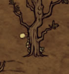 ����������С�èˢ��λ�û��� �è������_��վ