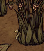 ����������С�èˢ��λ�û��� �è������_��վ