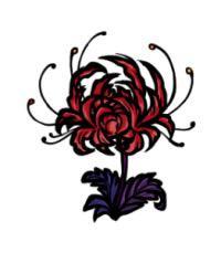 ��������˵�˰���Ч���б� �˰�����ʲô��