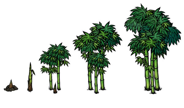 ��������˵�������������б� ���������ֲ