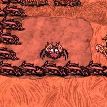 ����������С֩�����ñ����ۼ������ȫ