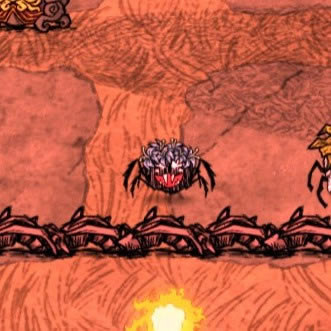 ����������С֩�����ñ����ۼ������ȫ_��վ