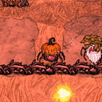 ����������С֩�����ñ����ۼ������ȫ_��վ